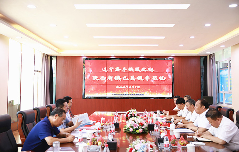 陜西省鎮(zhèn)巴縣領導來我司考察
